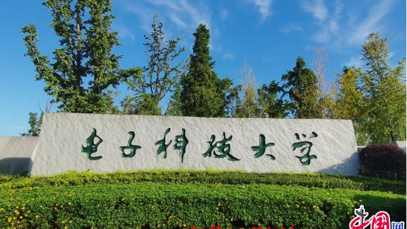 三极管开关电路设计：深圳厂家的技术优势与选型要点**